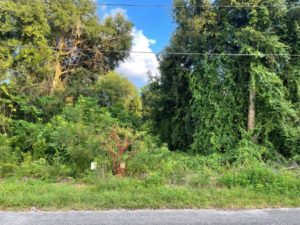 $29,000 VACANT LAND (DeLand) cipadsfreeads