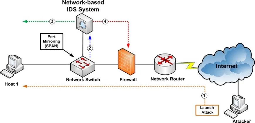 firewalls, antivirus software, and intrusion detection systems (IDS) cipads freeads