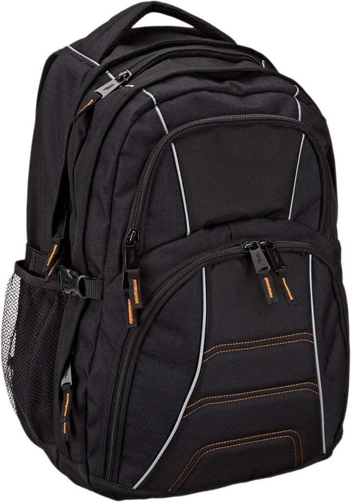 Amazon Basics Laptop Backpack Fits Up to 17-Inch Laptops, Black travelanycountry