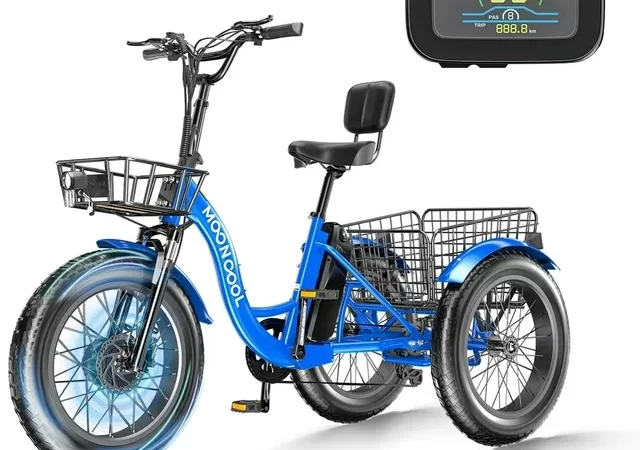 ABORON-Electric-Bike-for-Adults-500W-Ebike-with-48V-14.5Ah-Removable-Lithium-Battery-20-x-4.0-Fat-Tire-Electric-Bicycle-Step-Thru-Ebikes-for-Adults-All-Terrain-with-Big-Basket-cipads-freeads