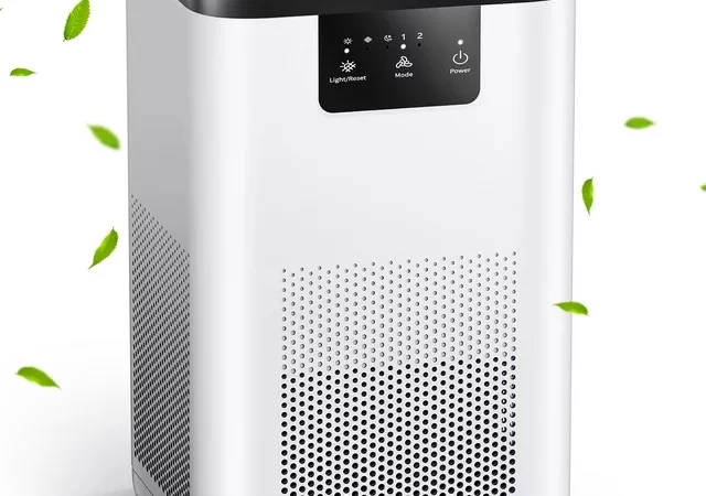 ALROCKET Air Purifier, with H13 True HEPA Filter, Remove 99.9% Smoke Dust Allergies for 300 SQ.ft cipads freeads