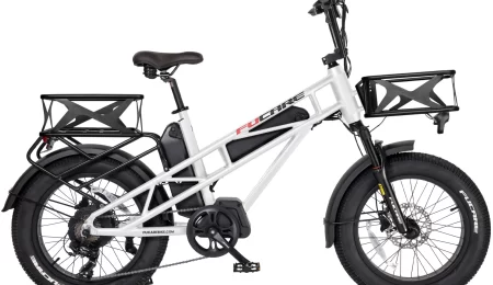 Fucare-Electric-Bike-Gemini-X-for-Adults-20x4.0-Fat-Tire-48V-30Ah-Battery-E-Bike-cipads-freeads