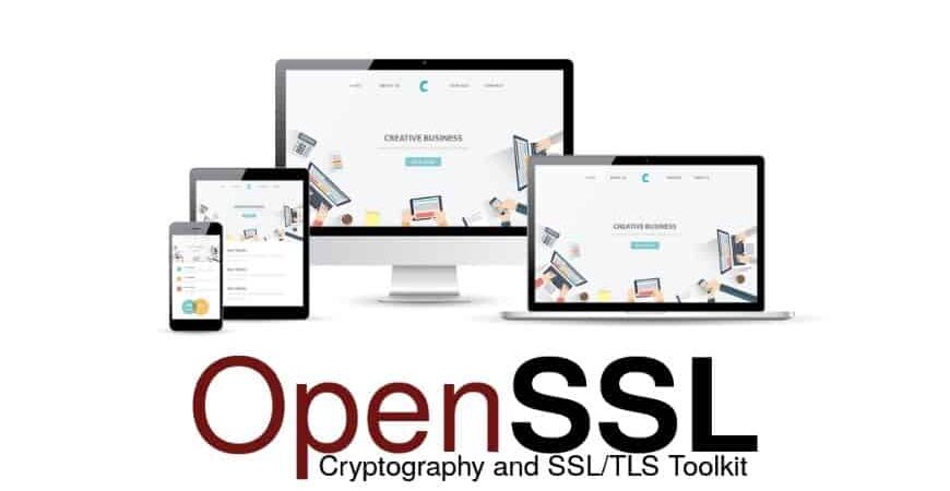 What Is Open SSL OR OpenSSL cipads freeads