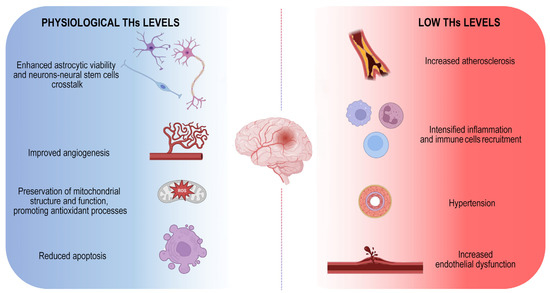The Complex Relationship Between Thyroid Dysfunction and Epilepsy: A Review of Clinical and Molecular Insights cipads freeads