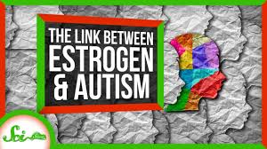 The Unexpected Connection Between Estrogen and Autism SciShow News video review cipads freeads The Unexpected Connection Between Estrogen and Autism SciShow News video review cipads freeads