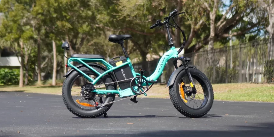 Little Price, BIG Range - Wildeway FW11S 3.0 Ebike Review cipads freeads in the news