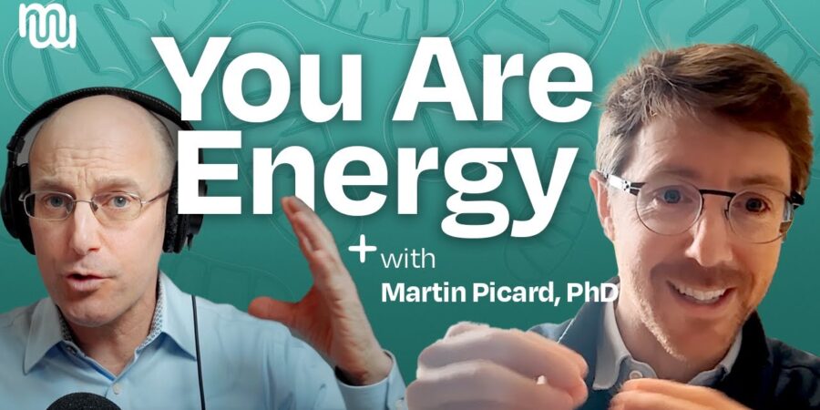 How Mitochondria Shape Your Mind, Mood, & Mental Health with Dr. Martin Picard video review cipads freeads in the news