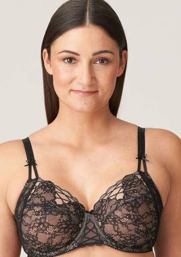 The PrimaDonna Livonia collection cipads freeads in the store