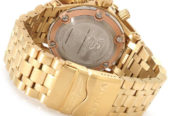 Invicta Men’s 14032 Subaqua Analog Display Swiss Quartz Gold Watch