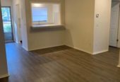 $1,300 / 2br – 700ft2 – Apply on line now/2b/1b/Upgraded/Breakfast Bar (JACKSONVILLE)