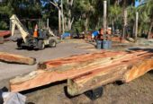 RUSTIC CEDAR BEAMS, OAK etc. (Gainesville, Fl)