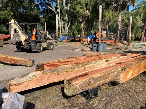 RUSTIC CEDAR BEAMS, OAK etc. (Gainesville, Fl)