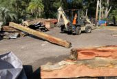 RUSTIC CEDAR BEAMS, OAK etc. (Gainesville, Fl)