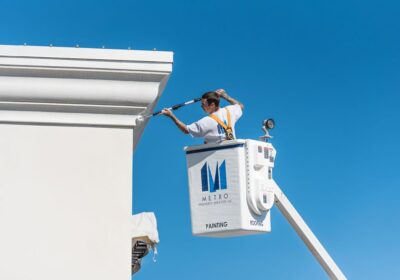 Professional-painter-needed.-Jacksonville-cipads-freeads