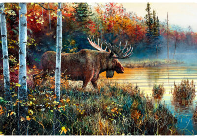 Bungalow-Flooring-Surfaces-Moose-Lake-Floor-Mat-cipads-freeads