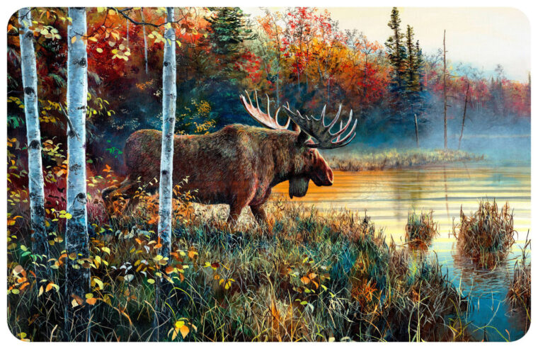 Bungalow Flooring Surfaces Moose Lake Floor Mat