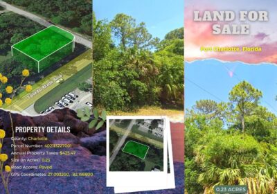 0.23-Acre-Lot-in-Port-Charlotte-FL-–-Seller-Financing-4600-down-only-476-mo-cipads-freeads