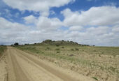 38.35 ACRES IN LAS ANIMAS COUNTY, COLORADO LAND WITH MOUNTAIN TOP~GORGEOUS! CASH