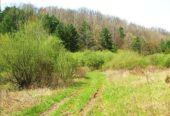 49 Acres of Land for Sale in Royalton, Kentucky [Owner Financing Available] US $69,995