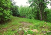 49 Acres of Land for Sale in Royalton, Kentucky [Owner Financing Available] US $69,995