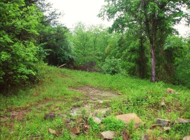 49 Acres of Land for Sale in Royalton, Kentucky [Owner Financing Available] US $69,995