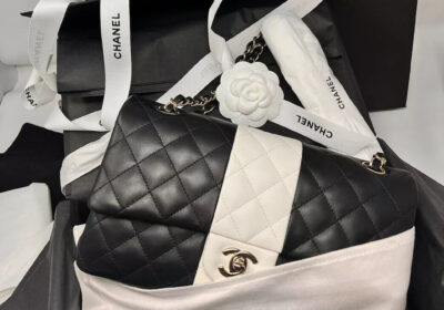 CHANEL-Medium-Classic-Flap-Bag-LGHW-Black-White-Limited-Ed.-22C-RARE-cipads-freeads