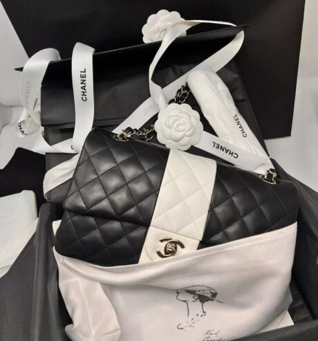 CHANEL Medium Classic Flap Bag LGHW Black & White Limited Ed. 22C RARE