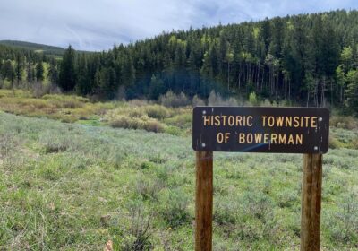 Ghost-Town-of-Bowerman-Colorado-10.3-Acres-2-Gold-Mines-and-Hot-Springs-Creek-cipads-freeads