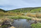 Ghost Town of Bowerman, Colorado, 10.3 Acres, 2 Gold Mines and Hot Springs Creek