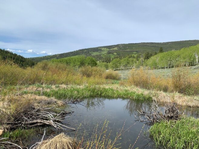 Ghost Town of Bowerman, Colorado, 10.3 Acres, 2 Gold Mines and Hot Springs Creek