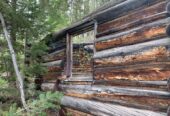 Ghost Town of Bowerman, Colorado, 10.3 Acres, 2 Gold Mines and Hot Springs Creek