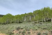 Ghost Town of Bowerman, Colorado, 10.3 Acres, 2 Gold Mines and Hot Springs Creek