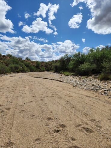 TEN 20 ACRE UNPATENTED BLM CLAIMS TOTALING 200 ACRES FOR SALE