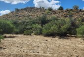 TEN 20 ACRE UNPATENTED BLM CLAIMS TOTALING 200 ACRES FOR SALE