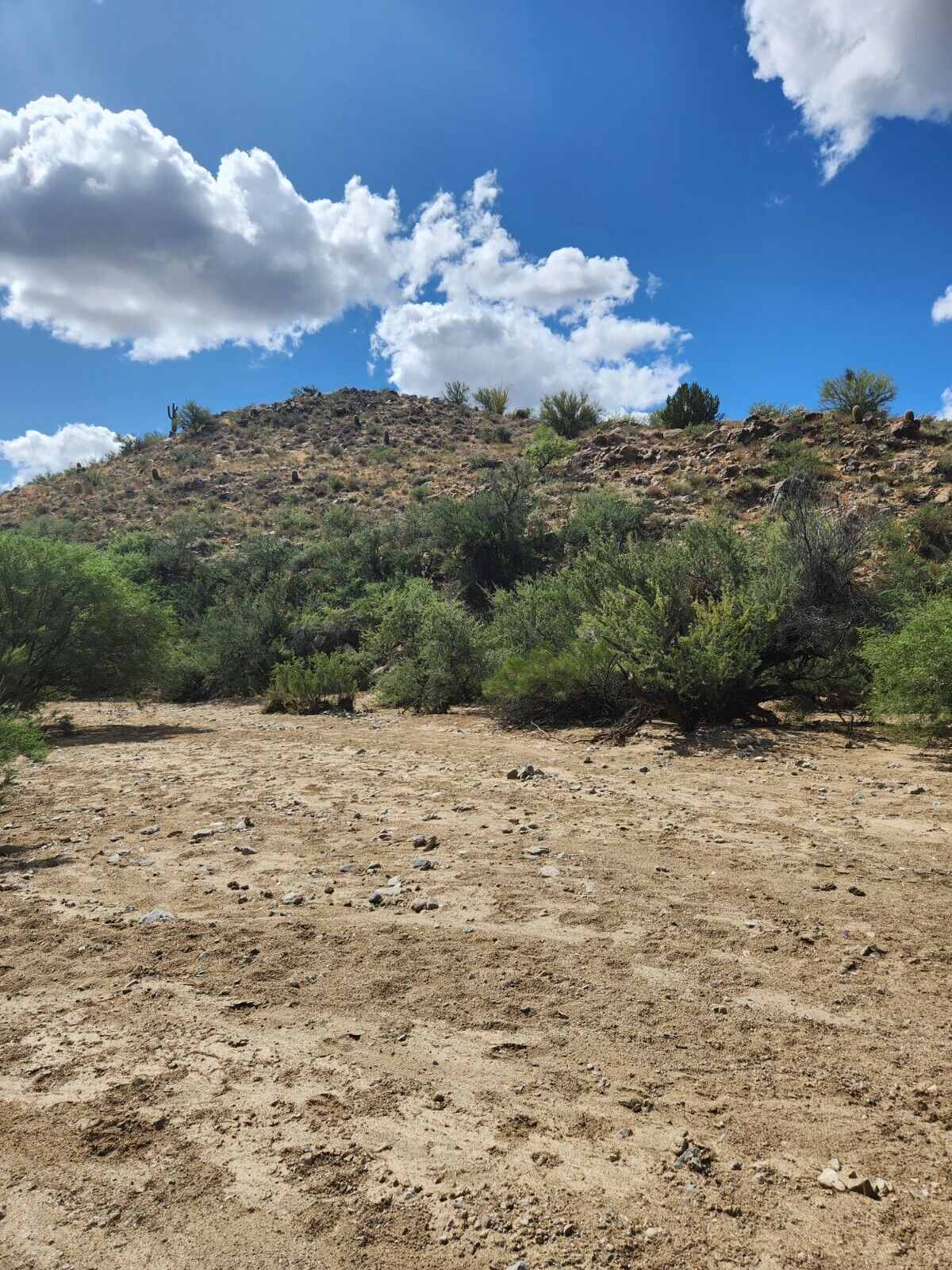 TEN 20 ACRE UNPATENTED BLM CLAIMS TOTALING 200 ACRES FOR SALE