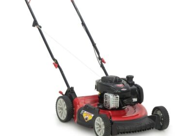 Troy-Bilt-11A-A0BL766-TB105B-21-140cc-Push-Lawn-Mower-New-cipads-freeads