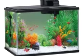 Aqua Culture Glass 29 Gallon Aquarium Starter Kit, Black, 30.2”L x 12.44”W x 21.18”H