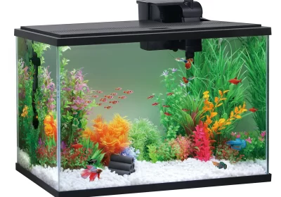 Aqua-Culture-Glass-29-Gallon-Aquarium-Starter-Kit-Black-30.2L-x-12.44W-x-21.18H-cipads-freeads