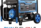 Pulsar 10,000-Watt Dual Fuel Portable Generator with Electric Start (CARB)