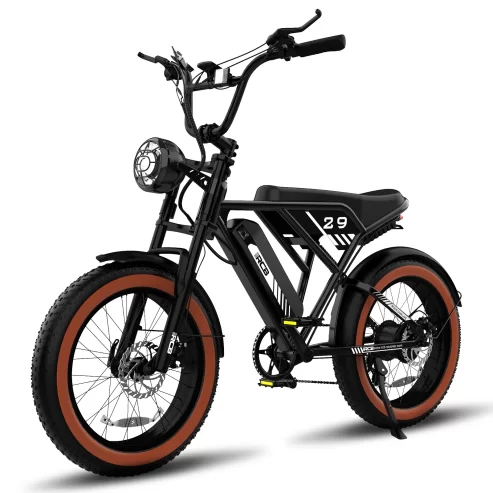 RCB 750W Electric Bike, 48V/15Ah Removable Li-Ion Battery, 20″ 4.0 Fat Tire Electric Mountain Bicycle,15.5MPH Ebike for Adults UL2849