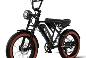 RCB 750W Electric Bike, 48V/15Ah Removable Li-Ion Battery, 20″ 4.0 Fat Tire Electric Mountain Bicycle,15.5MPH Ebike for Adults UL2849