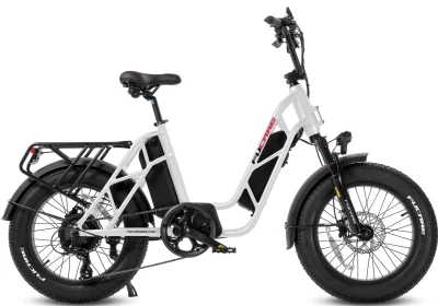 Fucare-Gemini-1200w-2400w-Peak-Dual-Motor-AWD-Ebike-for-Adults-35MPH-48V-30AH-Dual-Battery-120-Miles-Long-Range-Electric-Bike-cipads-freeads