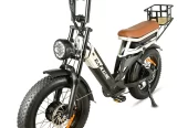 BAOLUJIE DP-2033, Dual Motor 2000W/1500W Electric Bike for Adults, 48V 30Ah Dual Battery, Step-Over/Step-Thru Frame Ebikes, 20 Inch Fat Tire for Cargo, Delivery, and Adventure