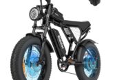 Ridstar 20″ Electric Fat Tire Mountain Bicycle for Adults, 1000W