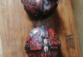 The Most Spiritual Powerful Herbalist Man In Nigeria+2347054677644