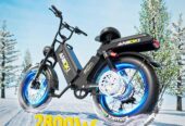 ANIIOKI Electric Bike for Adults with 60/70ah Battery, 30+ Mph Speed | 1200/2800W Peak | 200 Miles Range | Fat Tire eBike | Commuting Bike